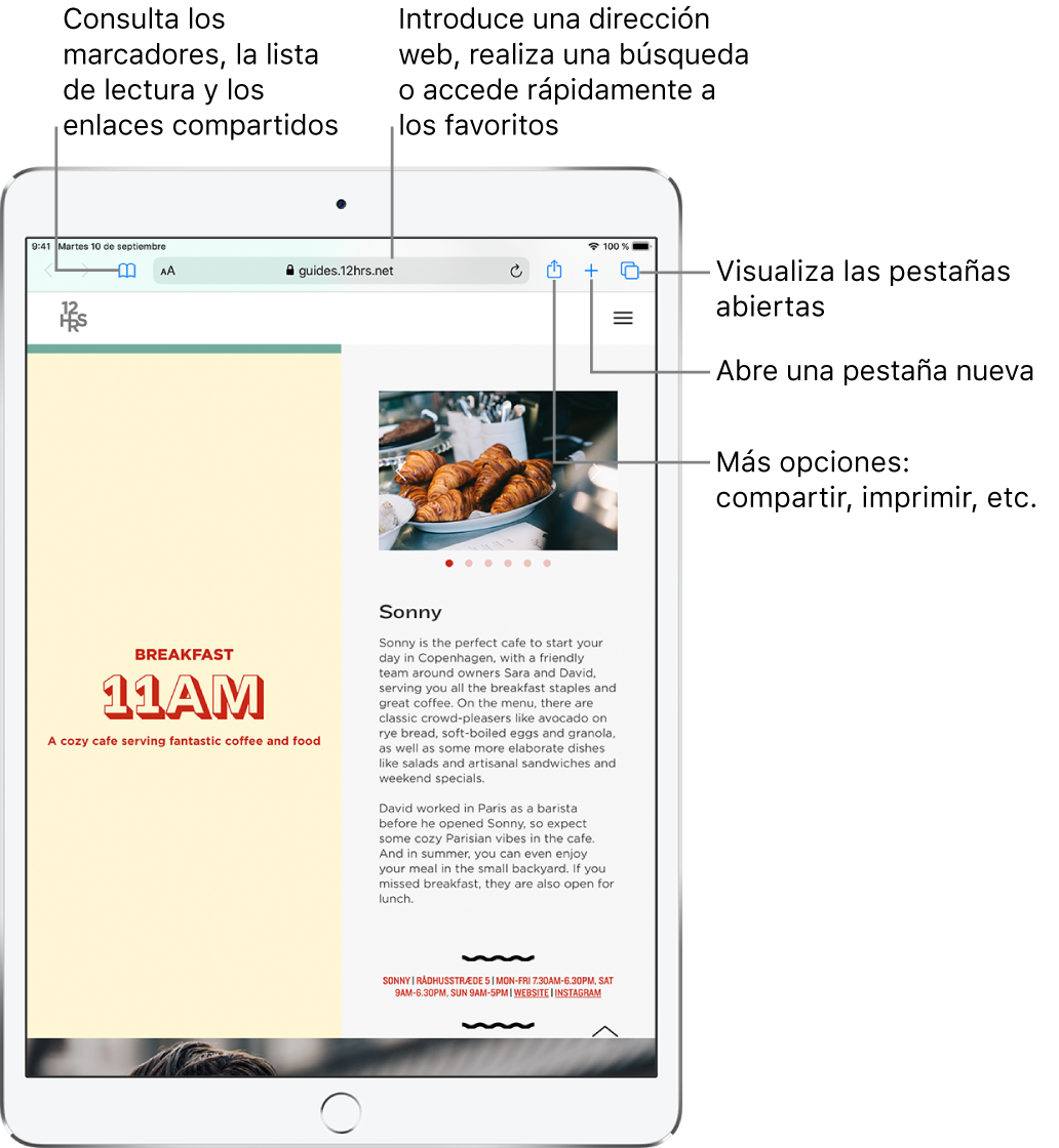 Página web abierta en Safari con los controles siguientes en la parte superior, de izquierda a derecha: los botones Atrás, Adelante y Marcadores, el campo de dirección, y los botones Compartir, “Nueva pestaña” y Páginas.