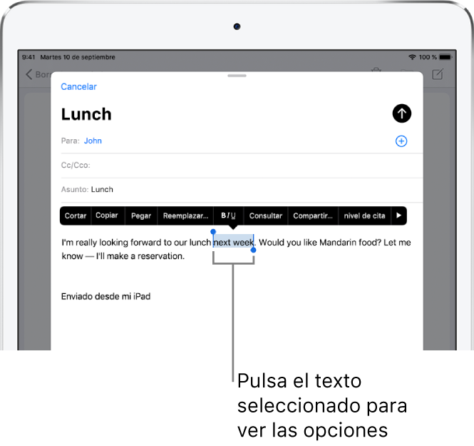 Mensaje de correo electrónico de ejemplo con parte del texto seleccionado. Encima de la selección están los botones Cortar, Copiar, Pegar y Reemplazar. El texto seleccionado aparece resaltado.