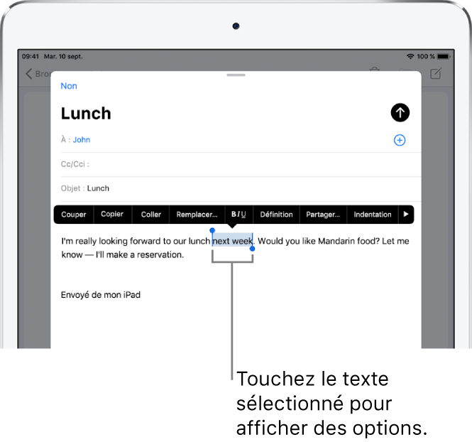 Un exemple d’e-mail avec une partie du texte sélectionné. Au-dessus de la sélection se trouvent les boutons Couper, Copier, Coller et Remplacer. Le texte sélectionné est mis en surbrillance.