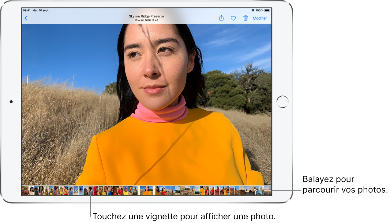 Une photo en plein écran, avec les vignettes d’autres photos de la photothèque au bas de l’écran. En haut à gauche se trouve le bouton Retour permettant de parcourir à nouveau les photos. En haut à droite, vous trouverez les boutons Partager, Aimer, Supprimer et Modifier.