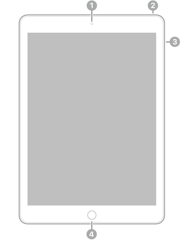 Az iPad elölnézete, amelyen a feliratok a készülék tetejének közepén lévő elülső kamerára, a jobb felső részen lévő felső gombra, a jobb oldalon lévő hangerőgombokra és a készülék aljának közepén lévő Főgombra/Touch ID-ra mutatnak.