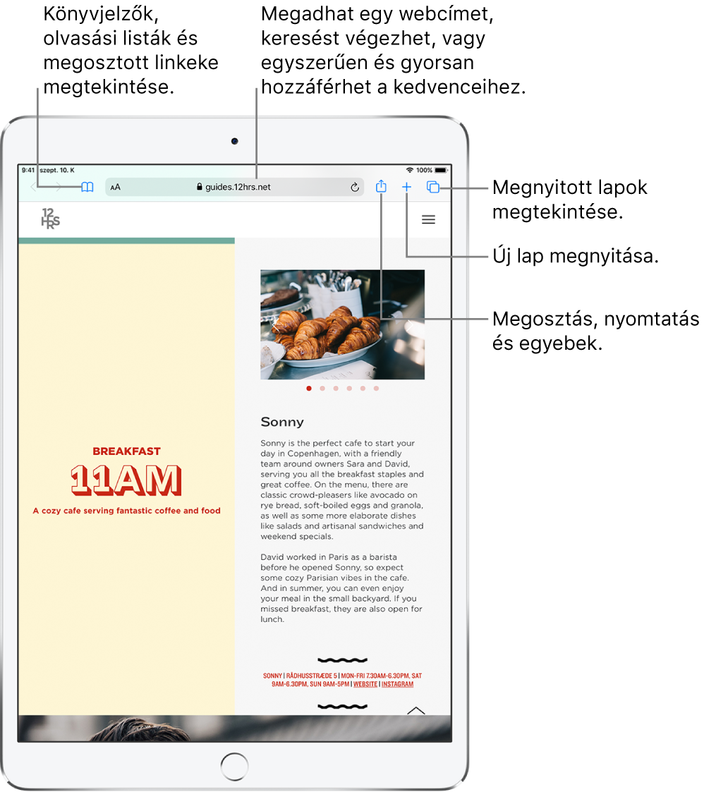Egy megnyitott weboldal a Safariban, a képernyő tetején a következő vezérlőkkel (balról jobbra haladva): Vissza, Előre és Könyvjelzők gomb, címmező, Megosztás, Új lap és Oldalak gomb.