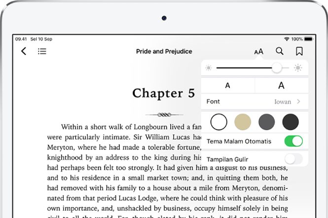 Menu tampilan di buku dipilih yang menampilkan kontrol untuk, dari atas ke bawah, kecerahan, ukuran font, gaya font, warna halaman, tema malam otomatis, dan tampilan gulir.