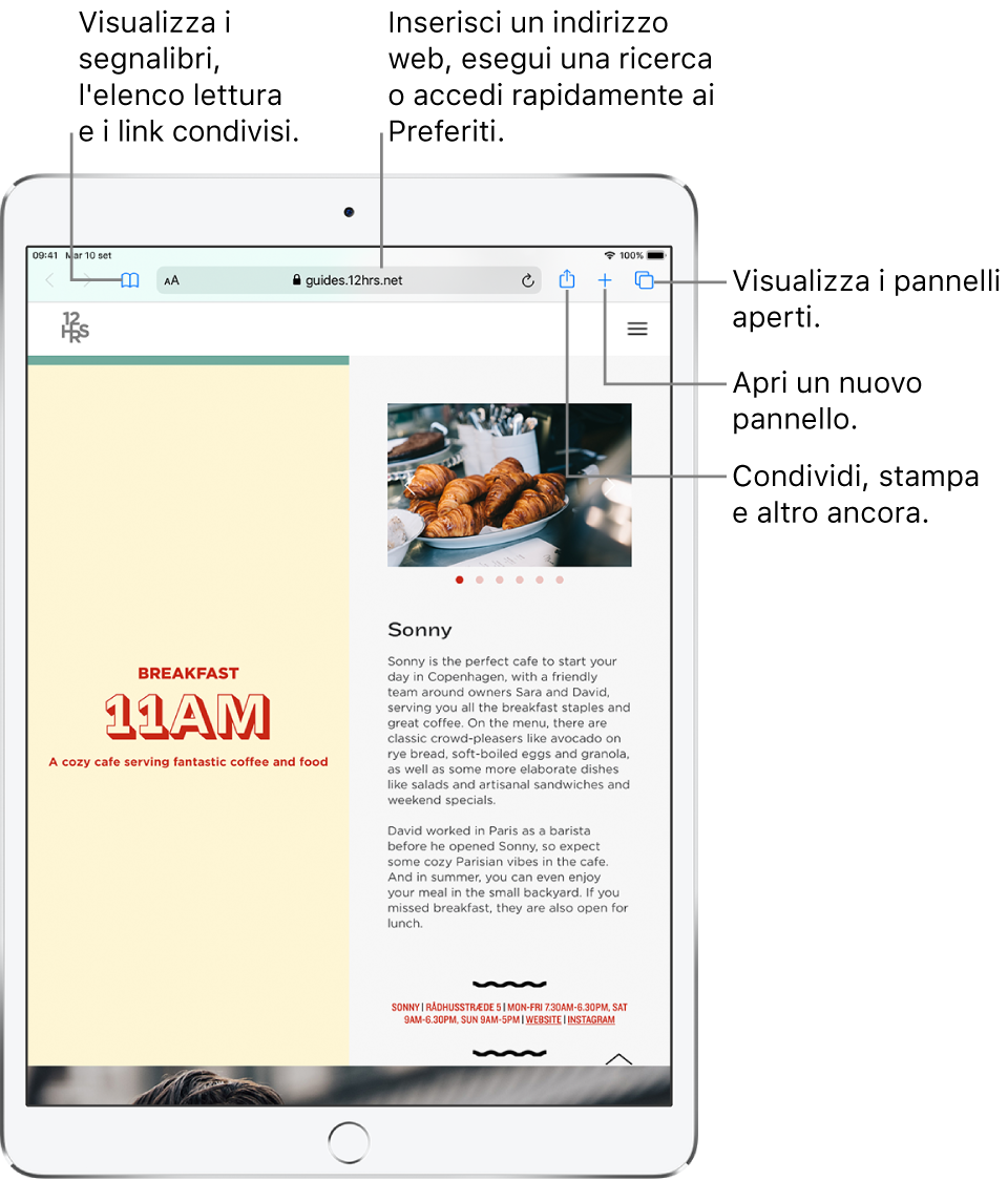 Un sito web aperto in Safari, con i controlli seguenti visualizzati in alto, da sinistra a destra: Indietro, Avanti, il pulsante Segnalibri, il campo indirizzo, i pulsanti Condividi, Nuovo pannello e Pagine.