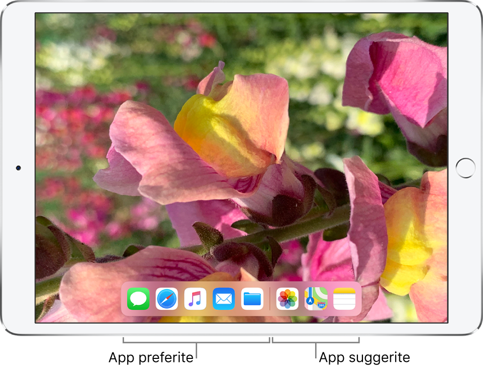 Il Dock che mostra cinque app preferite a sinistra e tre app suggerite a destra.