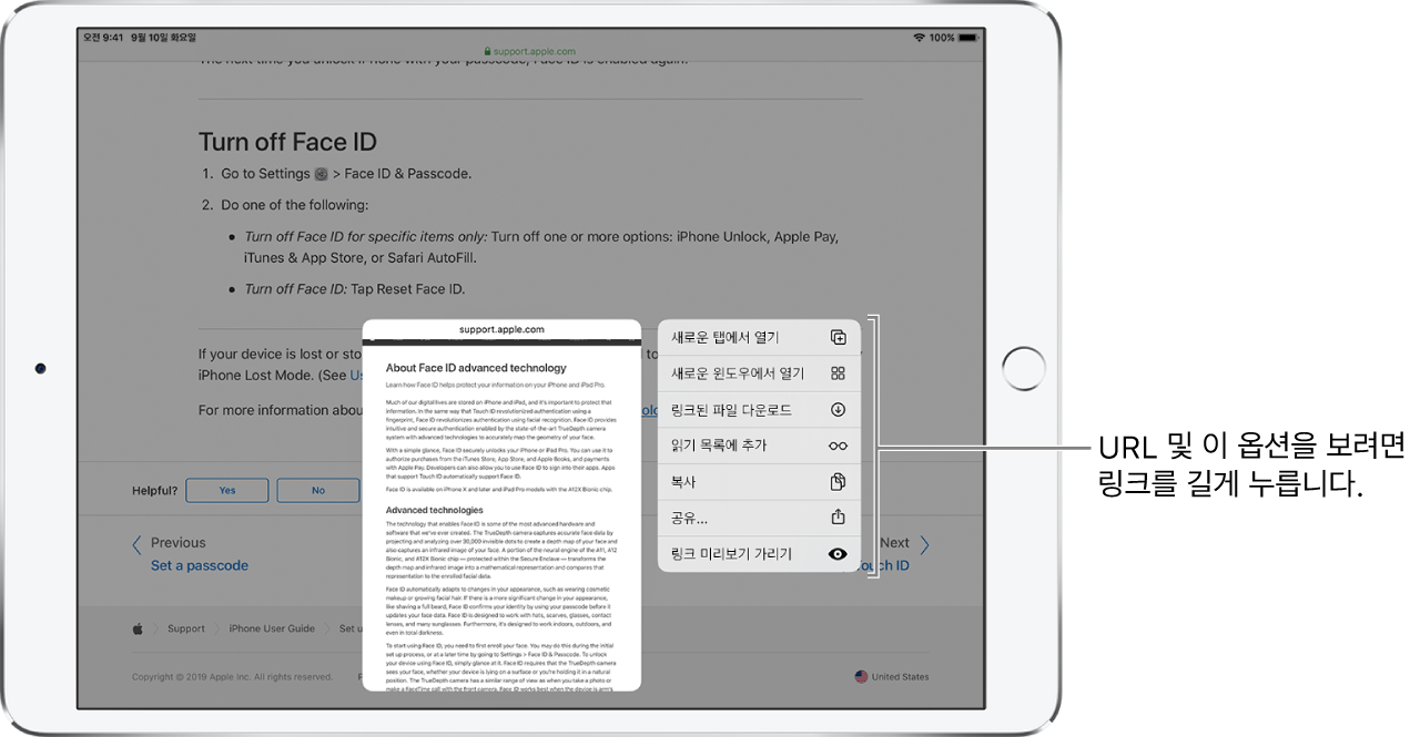 대상 주소를 표시하는 오버레이와 사용 가능한 동작 목록: 열기, 새로운 탭에서 열기, Split View로 열기, 읽기 목록에 추가, 복사, 공유.