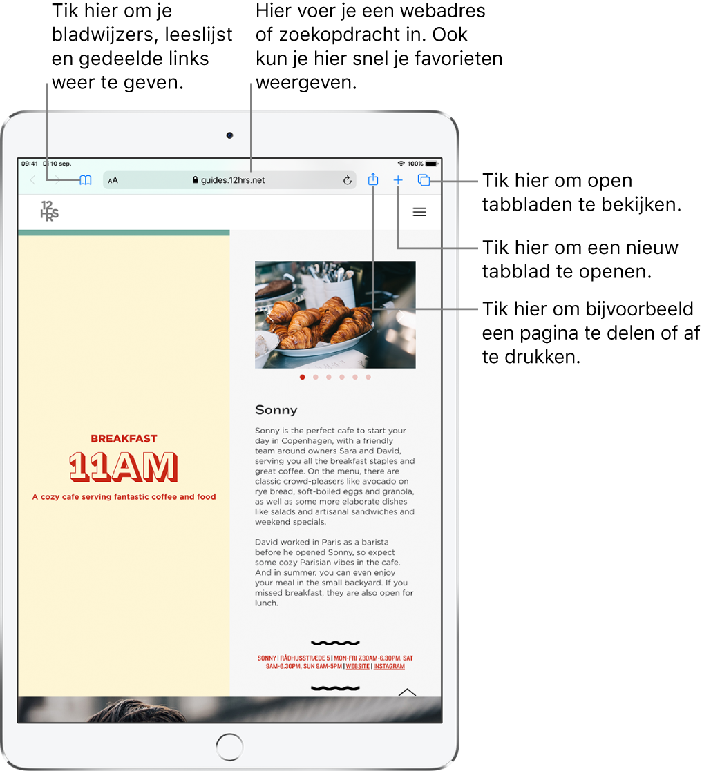 Een geopende website in Safari, met bovenaan van links naar rechts: knoppen voor vorige, volgende, de bladwijzerknop, het adresveld, de knoppen voor delen, nieuw tabblad en het weergeven van pagina's.