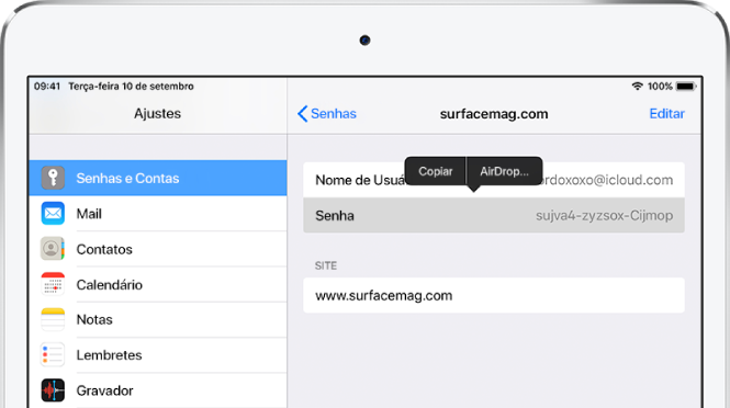 A tela Senhas e Contas de um site. A seção da senha está selecionada e um menu contendo os itens Copiar e AirDrop aparece acima dela.