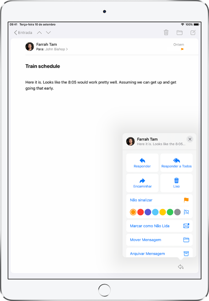 Um e-mail mostrando opções de resposta no canto inferior direito. Abaixo dessas opções, a escolha de cores para sinalização.