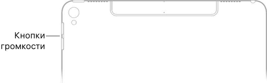 Верхняя часть задней панели iPad с выноской, указывающей на кнопки регулировки громкости.