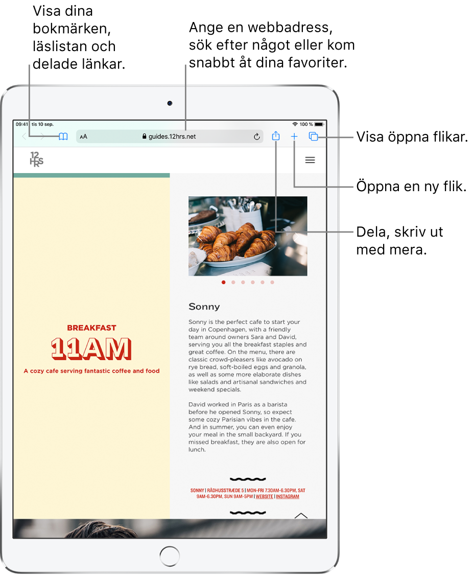 En webbsida är öppen i Safari och följande reglage visas överst, från vänster till höger: tillbaka-, framåt- och bokmärkesknappar, adressfältet samt knappar för delning, ny flik och sidor.