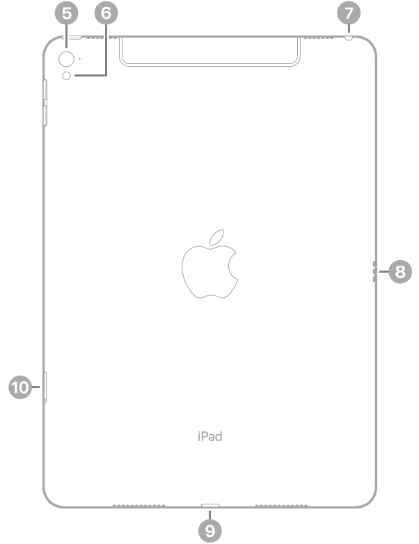 iPad Pro’nun, sol üstten başlayarak saat yönünde arka kameraya, flaşa, kulaklık jakına, Smart Connector’e, Lightning bağlayıcısına ve SIM tepsisine (Wi-Fi + Cellular) belirtme çizgileriyle arkadan görünüşü.