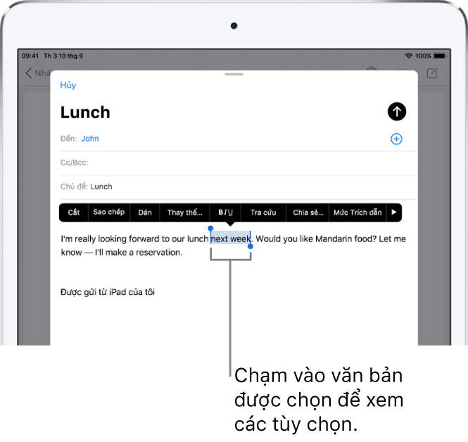 Một email mẫu với một số văn bản được chọn. Phía trên phần được chọn là các nút Cắt, Sao chép, Dán và Thay thế. Văn bản đã chọn được tô sáng.