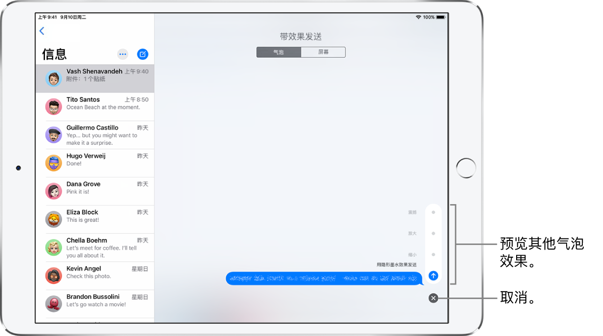 预览带隐形墨水效果的信息。在右下方，轻点控制以预览其他气泡效果。再次轻点同一控制以发送，或者轻点下方的“取消”按钮以返回到您的信息。