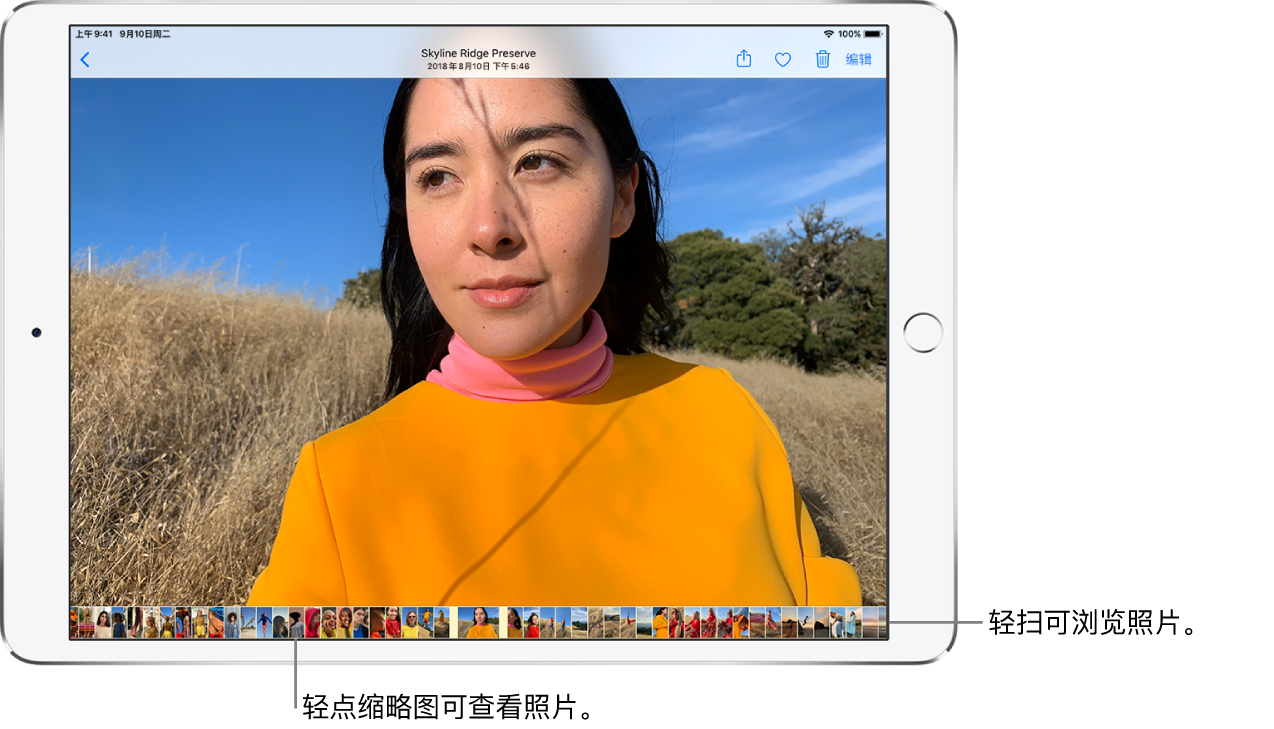 一张全屏显示的照片,屏幕底部一行显示图库中其他照片的缩略图。左上方是“返回”按钮,可带您返回浏览视图。右上方是“共享”、“喜爱”、“删除”和“编辑”按钮。