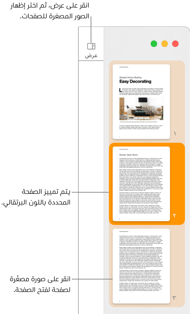 الشريط الجانبي على الجانب الأيمن من نافذة Pages وبه عرض الصور المصغرة للصفحات مفتوح مع صفحة محددة مميزة باللون البرتقالي الداكن.