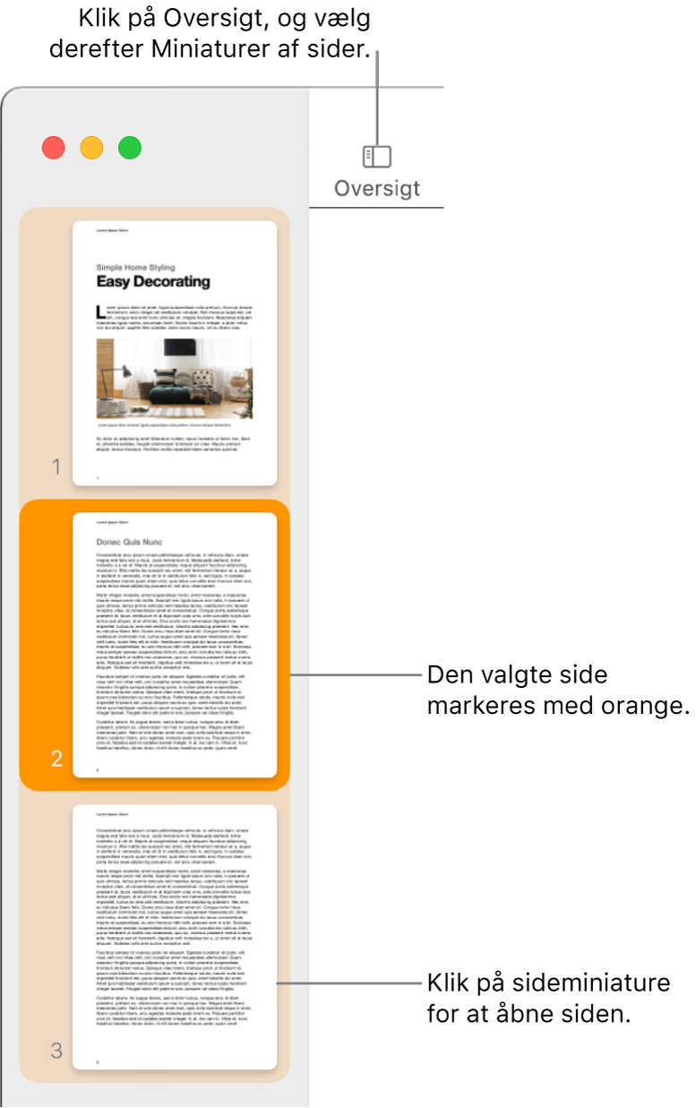 Indholdsoversigten i venstre side af Pages-vinduet med oversigten Miniaturer af sider åben og en valgt side markeret med mørk orange.