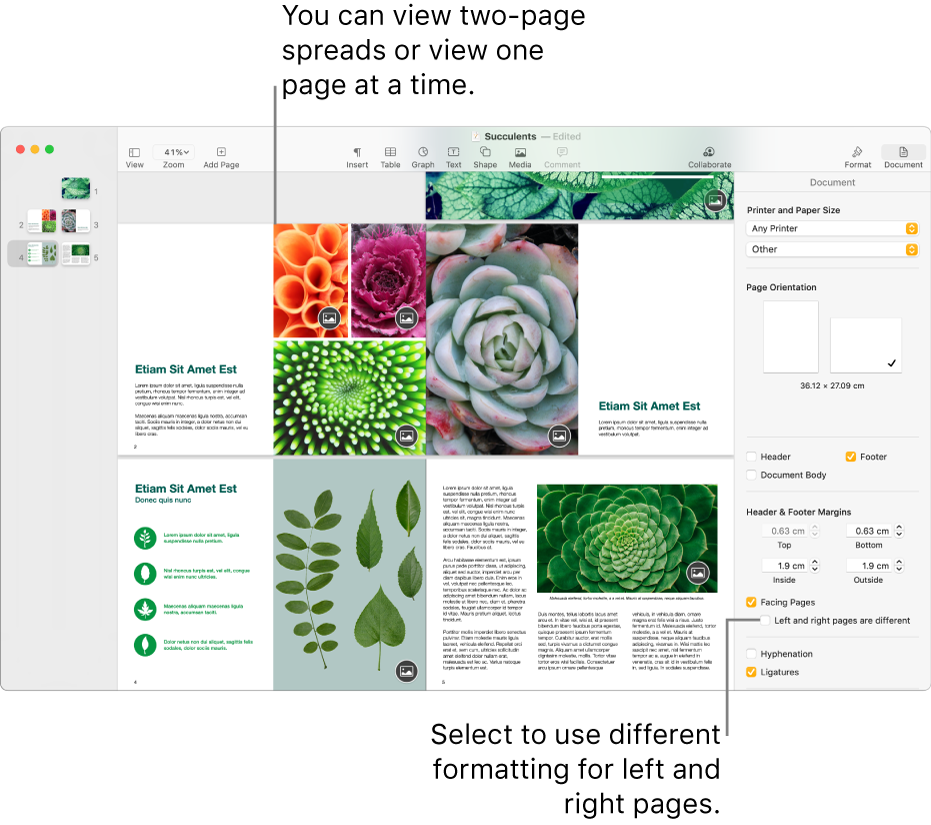 The Pages window with page thumbnails and document pages viewed as two-page spreads. In the Document sidebar on the right, the “Left and right pages are different” tick box is unselected.