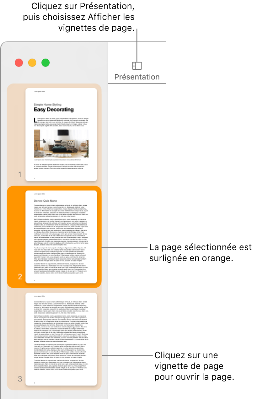 La barre latérale du côté gauche de la fenêtre Pages avec présentation en vignettes de page et une page sélectionnée en surbrillance orange foncé.