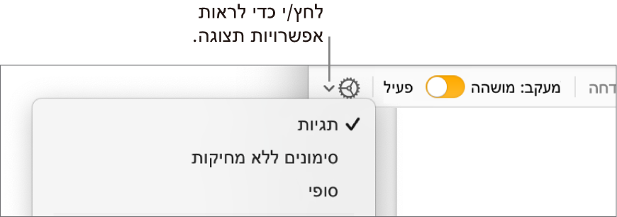 תפריט אפשרויות הסקירה מציג את הפקודות ״תגיות״, ״סימונים ללא מחיקות״ ו״סופי״.