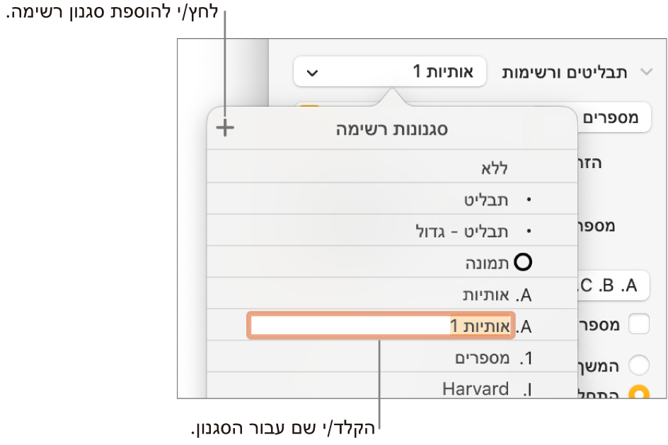 התפריט הקופצני ״סגנונות רשימה״ עם כפתור ״הוסף״ בפינה הימנית העליונה ושם של סגנון מציין מיקום כאשר המלל שלו נבחר.