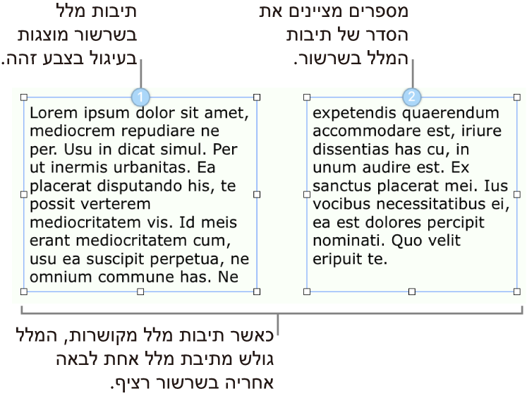 שתי תיבות מלל עם עיגולים כחולים בראשן והמספרים 1 ו-2 בעיגולים.