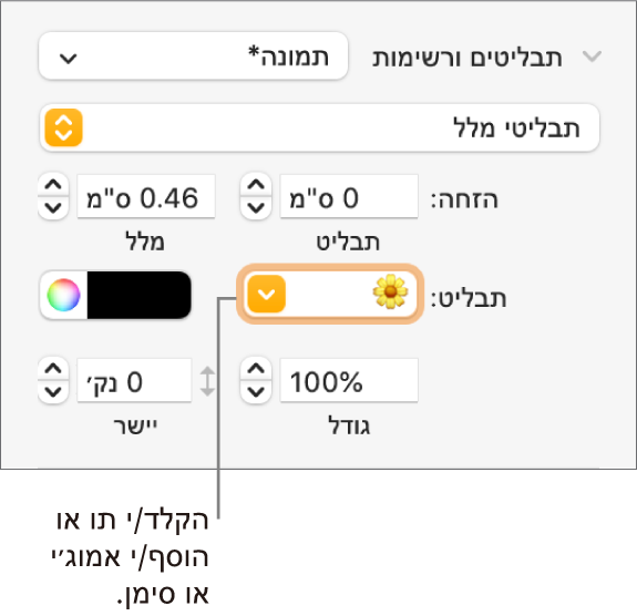 המקטע ״כדורים ורשימות״ בסרגל הצד ״עיצוב״. השדה ״כדור״ עם אמוג׳י של פרח.