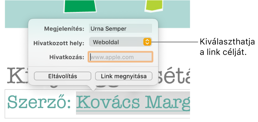 A Linkbeállítások vezérlők, a Megjelenítés, a Hivatkozott hely (webhely beállítással) és a Link mezővel. Az Eltávolítás és a Link megnyitása gomb a vezérlők legalján találhatóak.