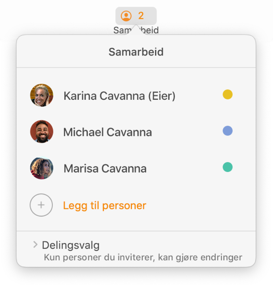 Samarbeid-menyen som viser navnene til personer som samarbeider om dokumentet. Delingsvalg er under navnene.