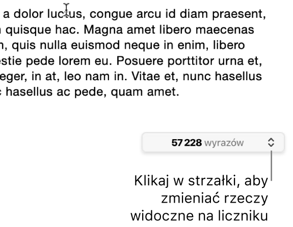 Menu pokazujące liczbę wyrazów w dokumencie.