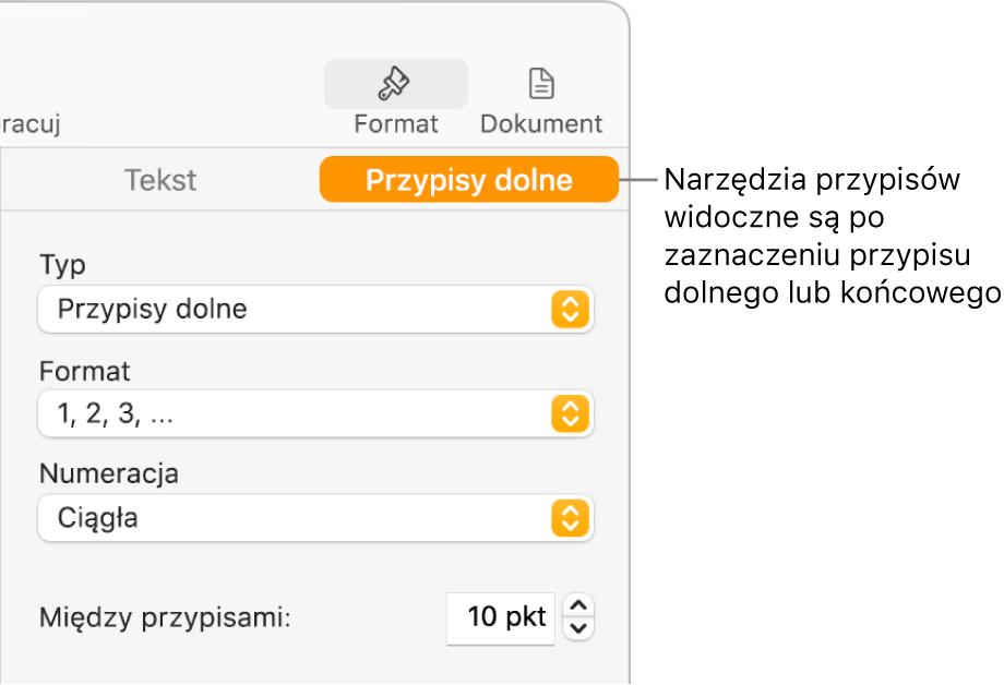 Panel przypisów dolnych z menu podręcznymi Typ, Format, Numeracja i odstępem między przypisami.