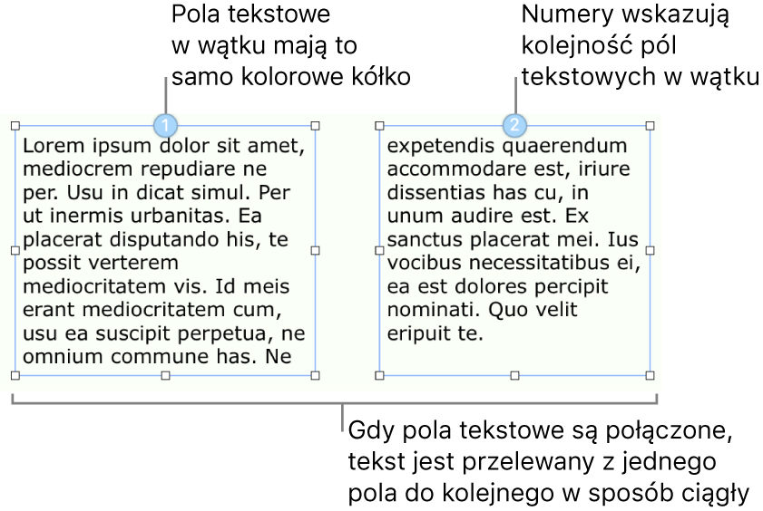 Dwa pola tekstowe z niebieskim kółkiem na górze oraz liczbą 1 i 2 w danym kółku.