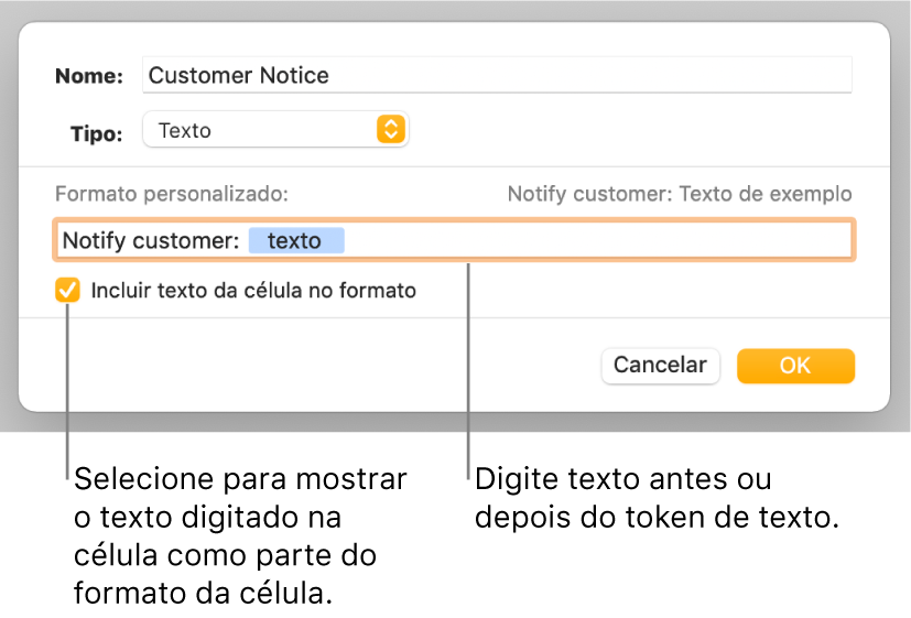 Janela de formato de célula personalizado com controlos para escolher o formato de texto personalizado.