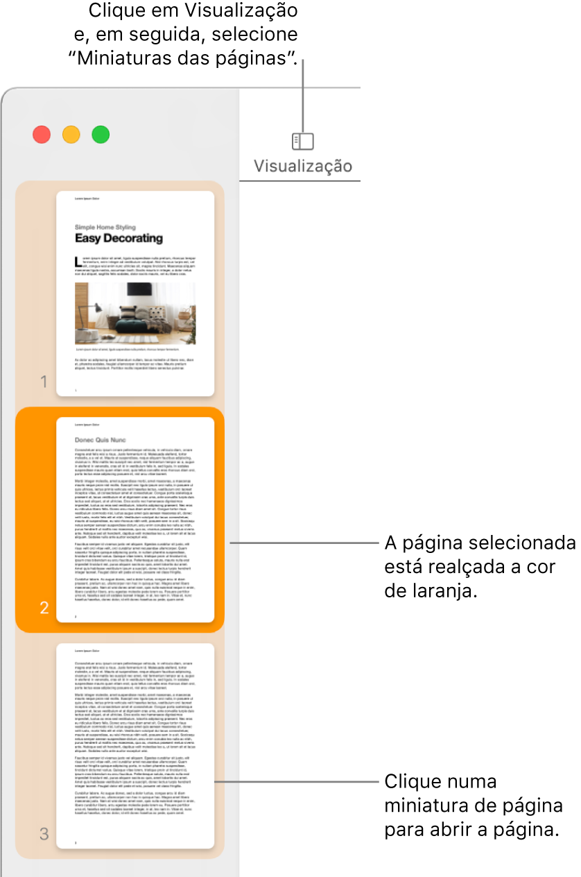 A barra lateral no lado esquerdo da janela do Pages com a vista de miniaturas das páginas aberta e uma página selecionada destacada a cor de laranja escuro.