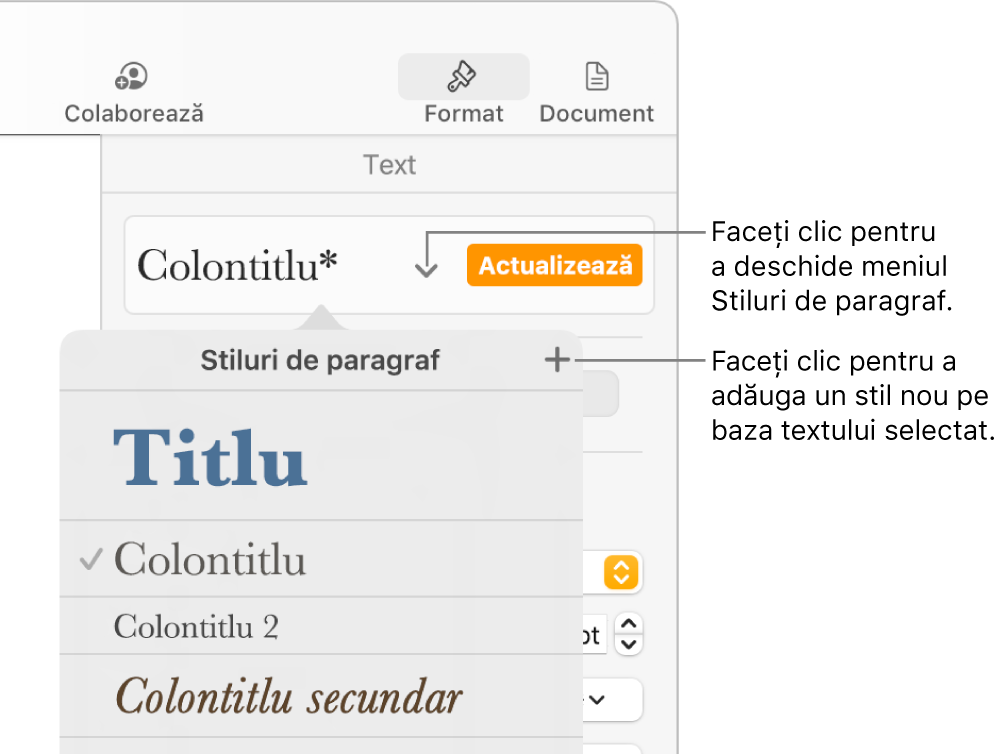 Meniul Stiluri de paragraf afișând comenzi de adăugare sau modificare a unui stil.