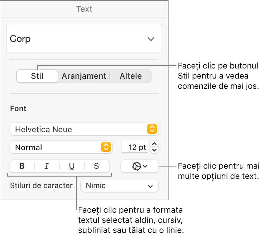 Comenzile pentru Stil din bara laterală Format cu explicații la butoanele Aldin, Cursiv, Subliniat și Tăiat cu o linie.