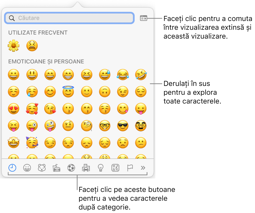 Fereastra pop-up Caractere speciale afișând emoticoane, butoane pentru diferite tipuri de simboluri în partea de jos și o explicație pentru un buton care afișează fereastra completă Caractere.