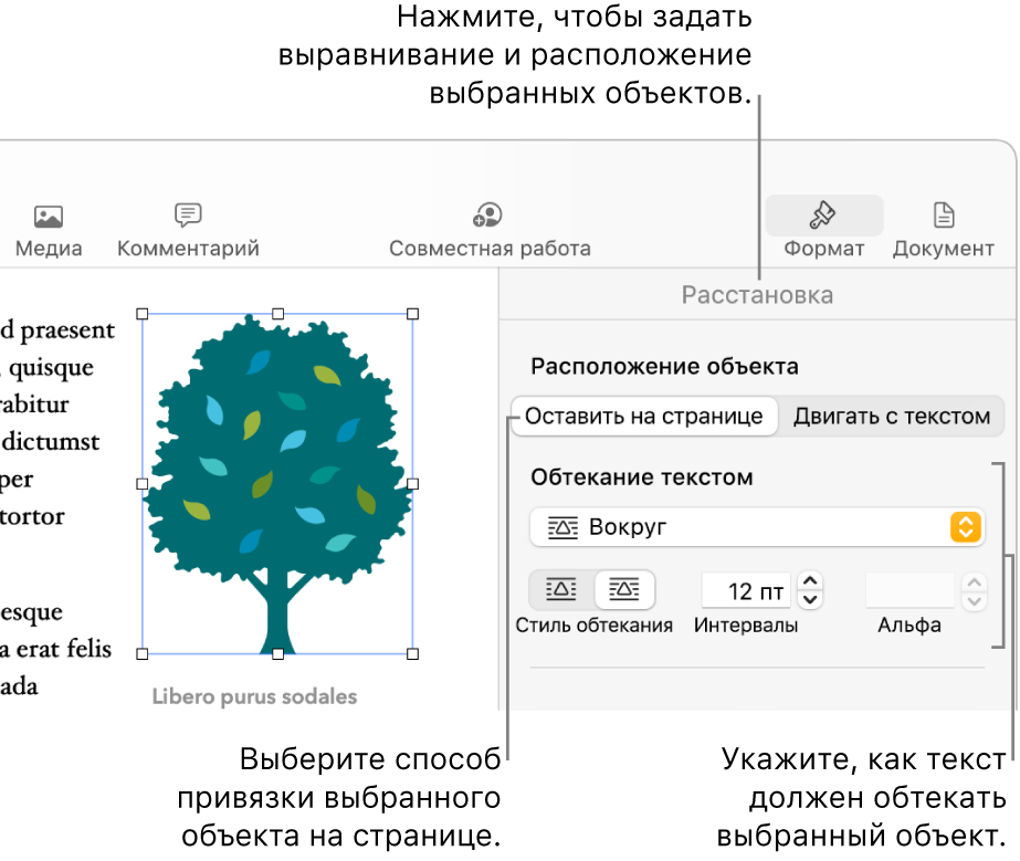 Меню «Формат» с боковой панелью «Расстановка». Вверху боковой панели «Расстановка» находится раздел настроек «Расположение объекта», а под ним — «Обтекание текстом».