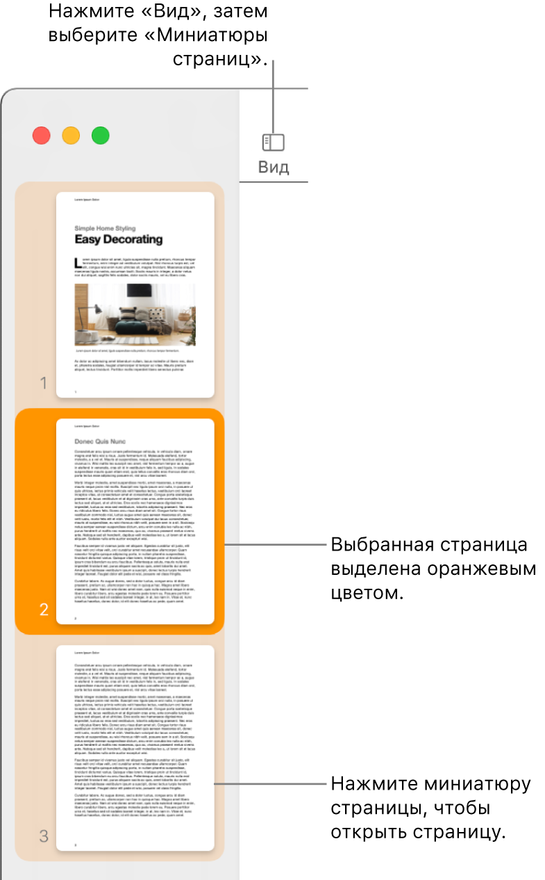 Боковое меню в левой части окна Pages. Открыта панель «Миниатюры страниц», выбранная страница выделена оранжевым цветом.