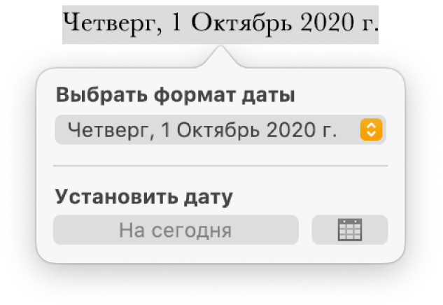 Элементы управления «Дата и время» со всплывающим меню форматирования даты и кнопкой «На сегодня».