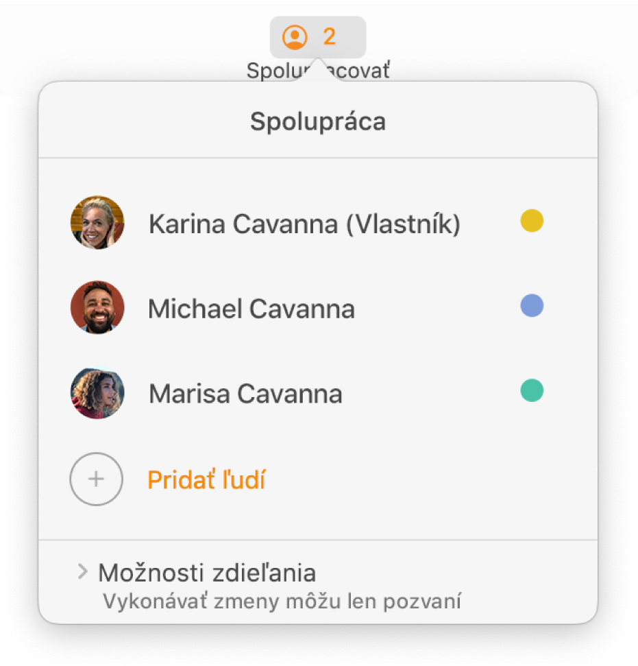 Menu Spolupráca obsahujúce mená ľudí spolupracujúcich na dokumente. Možnosti zdieľania sú pod menami.