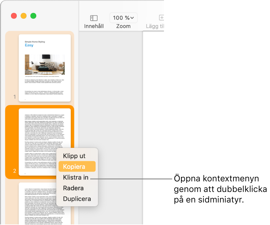 Sidminiatyrvy med en miniatyr markerad och öppen kontextmeny.