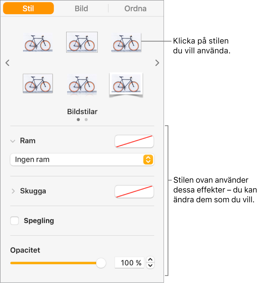 Fliken Stil i formatsidofältet med alternativ för objektstilar.