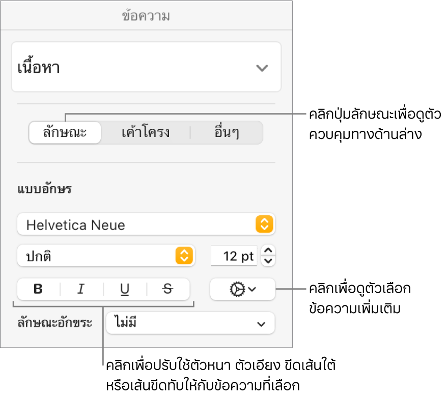 ตัวควบคุมลักษณะในแถบด้านข้างรูปแบบพร้อมคำอธิบายปุ่มตัวหนา ตัวเอียง ขีดเส้นใต้ และขีดทับ