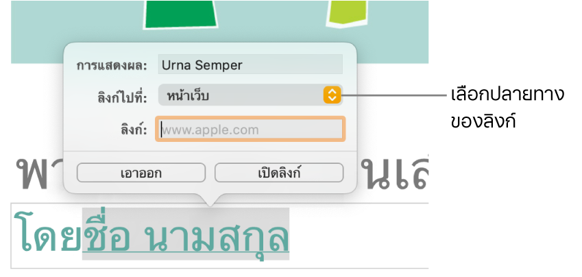 ตัวควบคุมการตั้งค่าลิงก์ที่มีช่องการแสดงผล ลิงก์ไปที่ (ตั้งค่าเป็นหน้าเว็บ) และช่องลิงก์ ปุ่มเอาออกและปุ่มเปิดลิงก์อยู่ด้านล่างสุดของตัวควบคุม