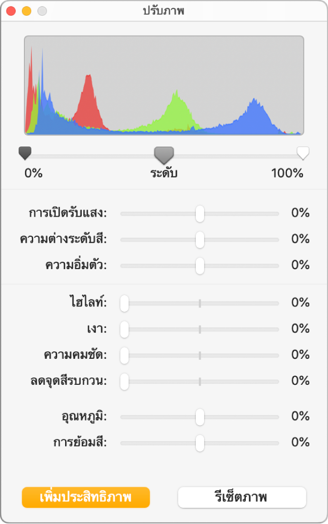 หน้าต่างปรับภาพที่มีตัวเลื่อนเพื่อตั้งค่าการเปิดรับแสง ความต่างระดับสี ความเข้มสี ไฮไลท์ เงา ความชัด ลดนอยซ์ อุณหภูมิ และสีอ่อน