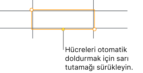 Hücreleri otomatik doldurmak için sürükleyebileceğiniz bir sarı tutamağı olan seçili hücre.