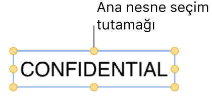 Seçim tutamaklarına sahip nesne.