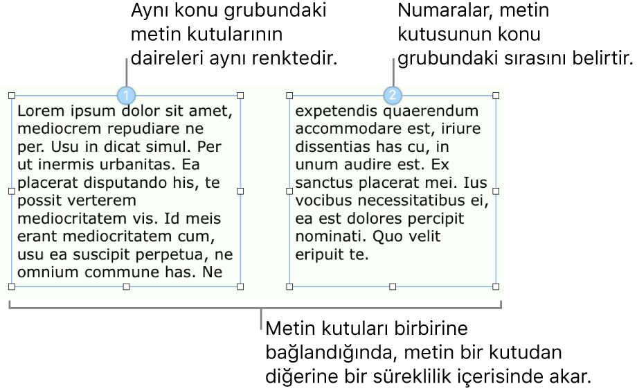 En üstte içinde 1 ve 2 sayıları olan mavi daireli iki metin kutusu.