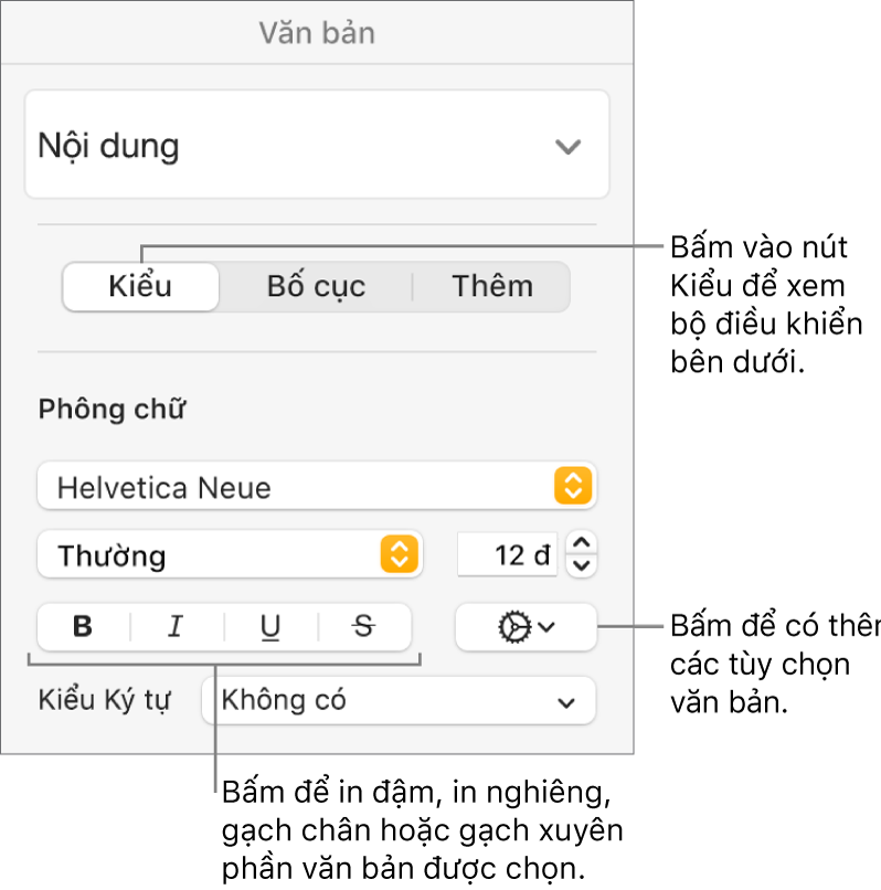 Các điều khiển Kiểu trong thanh bên Định dạng với các lời nhắc đến các nút Đậm, Nghiêng, Gạch chân và Gạch xuyên.